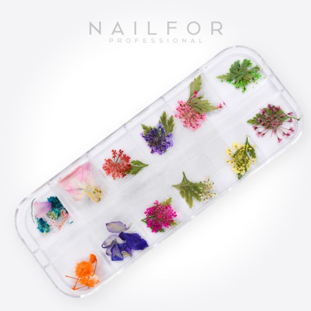 Décoration nail art , reconstruction d'ongles, décoration d'ongles Flower - DC011 Nailfor 6,99 €