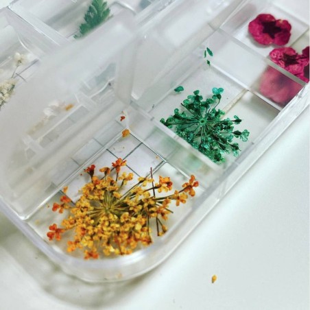 decorazione nail art ricostruzione unghie FLOWER DECORAZIONE UNGHIE FIORI - DC012 Nailfor 6,99 €