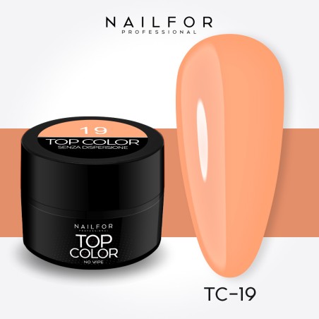 colore gel per unghie, nail art, nails Painting Gel - TOP COLOR 19 | Nailfor 5,99 €