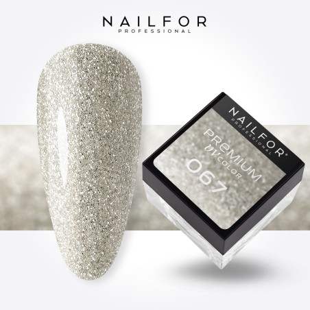 PREMIUM COLOR GEL - 067