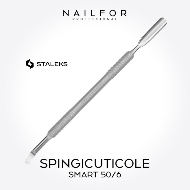 Spingicuticole STALEKS PRO SMART 50-6