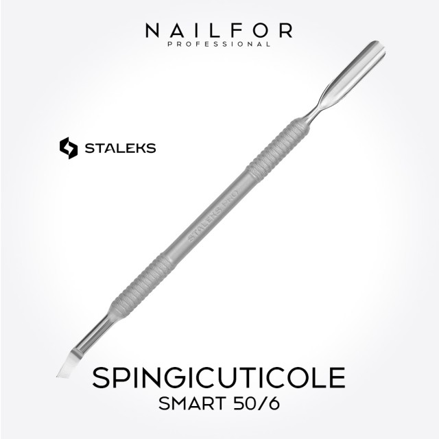 Spingicuticole STALEKS PRO SMART 50-6