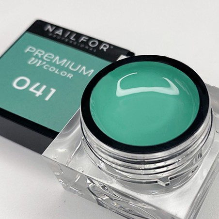 PREMIUM COLOR GEL - 041