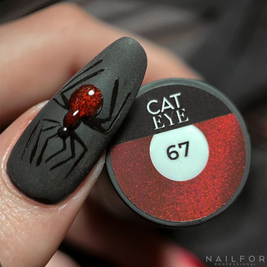 Esmalte de uñas semipermanente color: Cat eye 5d - 67 Nailfor por 11,99 € 2