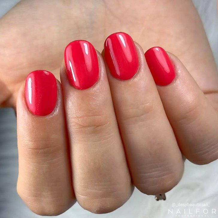 PREMIUM COLOR GEL - 016