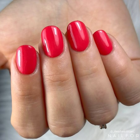 PREMIUM COLOR GEL - 016